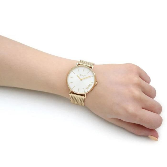 Coach Gold Mesh Bracelet Watch – Women’s Elegant Quartz Timepiece 14503125 - Authentic
