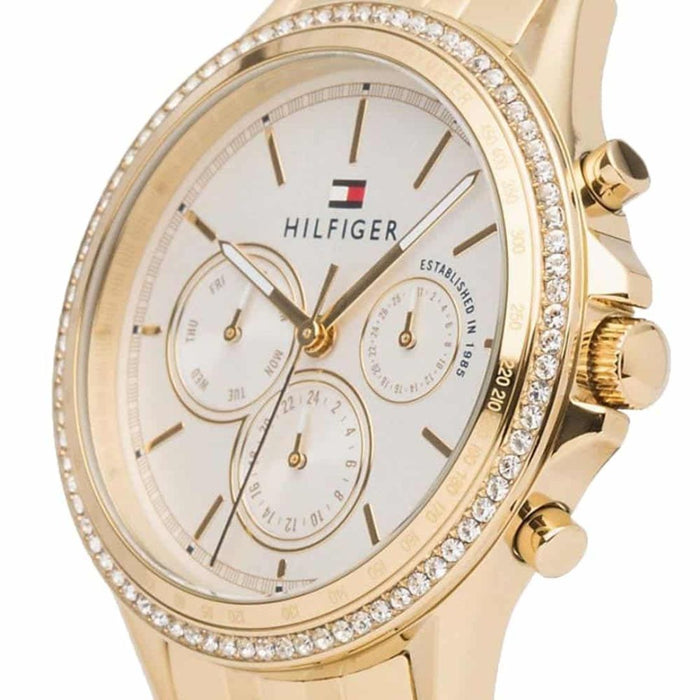 Tommy Hilfiger Gold Chronograph Watch – Ivory Leather Strap 1781982 - Authentic
