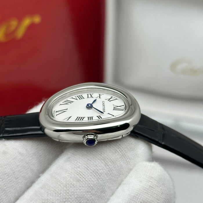 Cartier Baignoire Style Mini Silver 24MM – Black Strap Edition