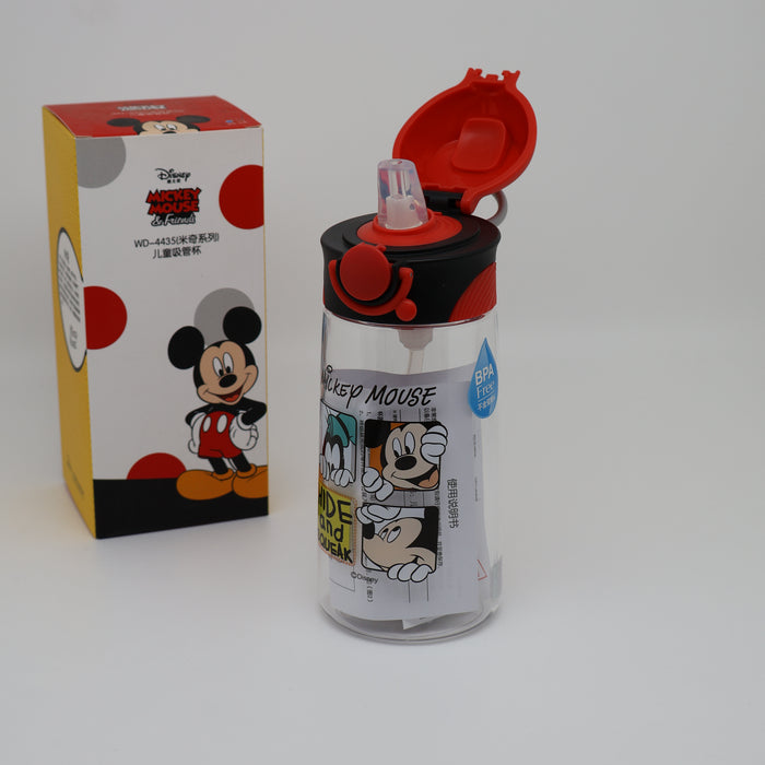 Disney  Water Bottle 450mL