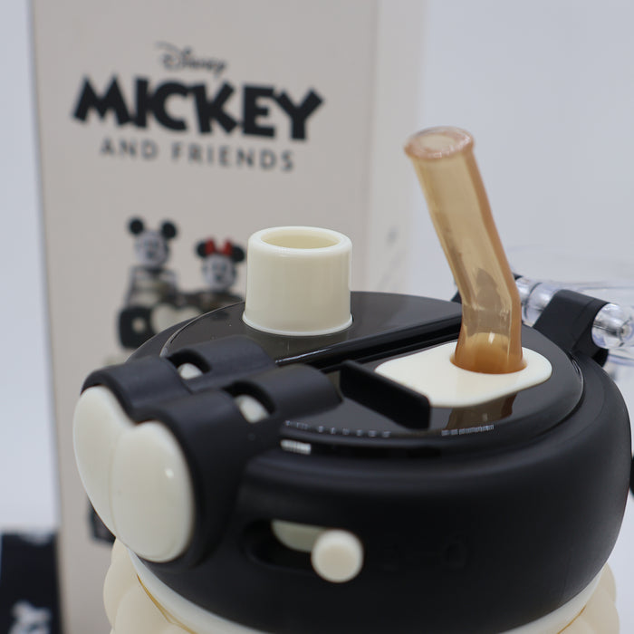 Disney Water Bottle Dual Compartment 520ml