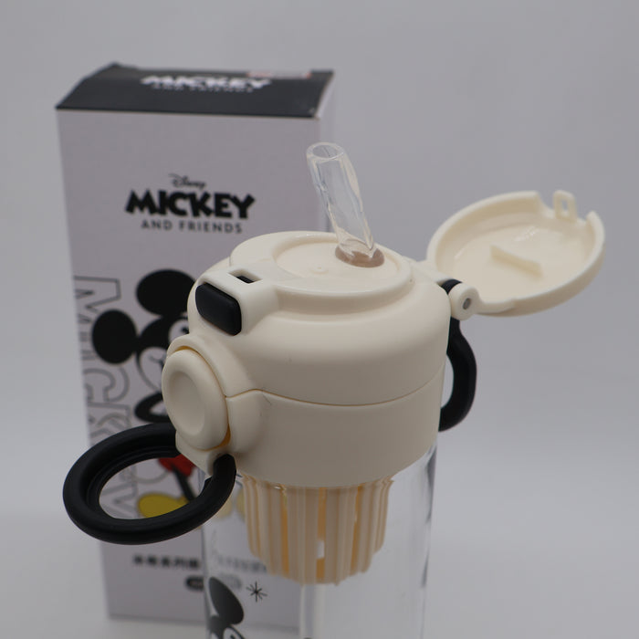 DisneyAnd Freinds Water Bottle 600mL