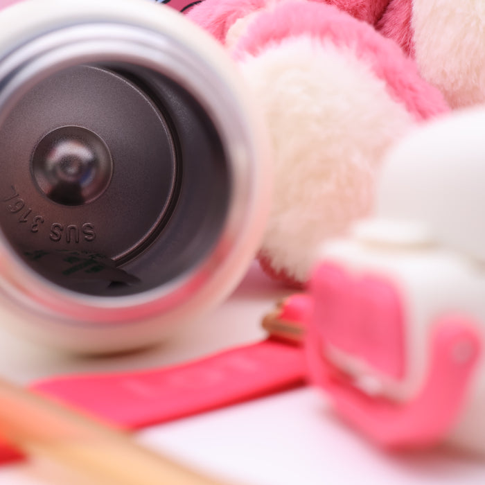 Disney Plush Medium Water Bottle 520mL Toy Story Lotso & Mickey Mouse