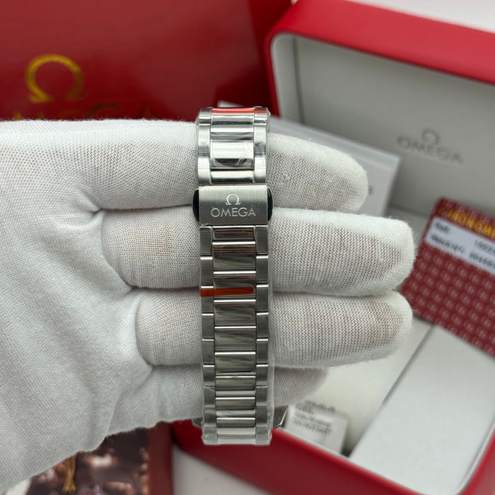 Omega Seamaster Aqua Terra Co-Axial Master Chronometer – Silver Dial