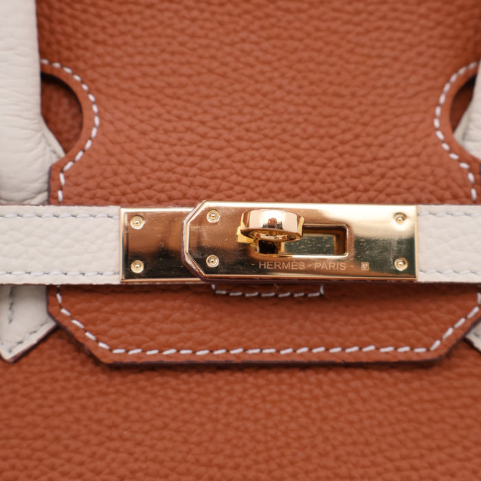 Hermès Genuine Leather MultiColor Women Bag